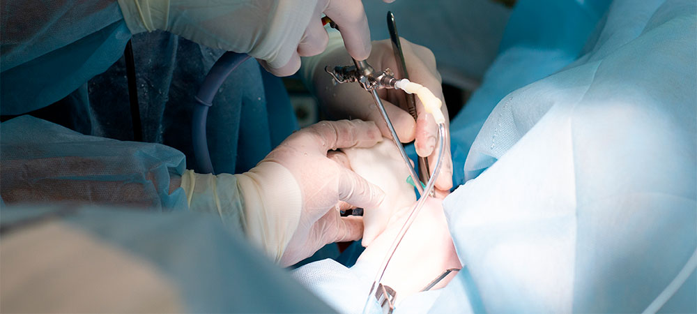 Charla Charla Traumatología veterinaria: Soluciones y nuevas técnicas