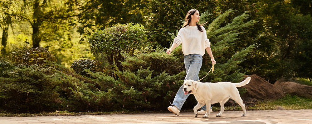 Tenencia responsable