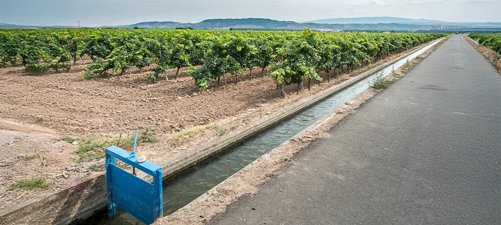 Seminario Internacional. "De la Cuenca al Predio"