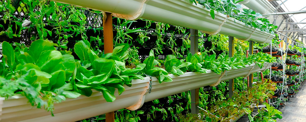 Charla: Demanda hídrica en tiempos de cambio climático