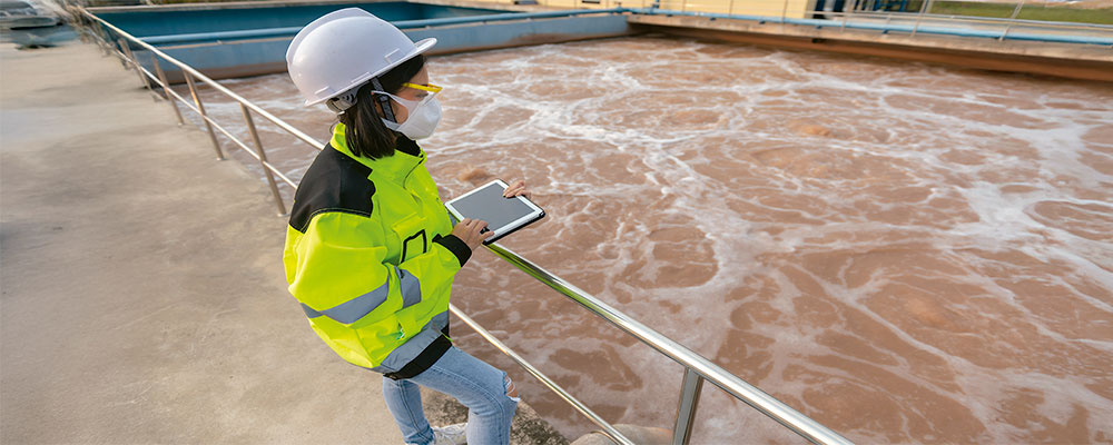 Webinar: Modelo Competitivo para un Mundo Sostenible