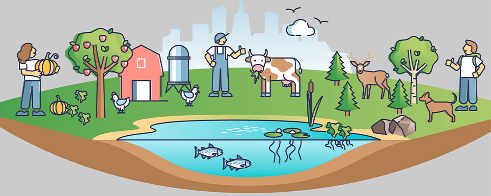 Charla: Principios agroecológicos